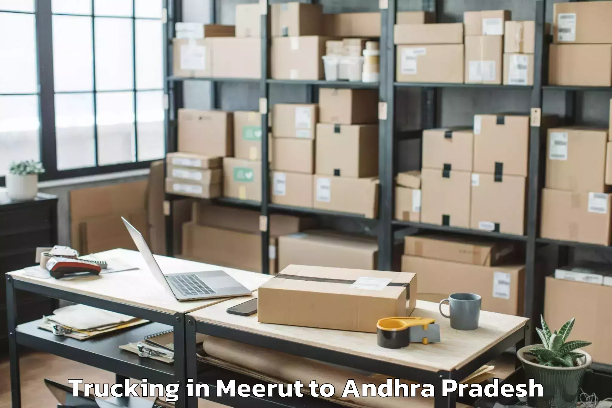 Leading Meerut to Pamarru Trucking Provider